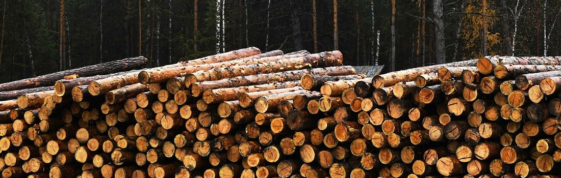 Планируется оборудовать всю лесозаготовительную технику приборами ГЛОНАСС